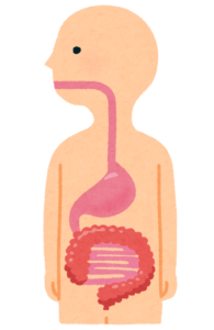 胃と大腸